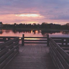 Safe and Sound - Taylor Swift (plucking only)