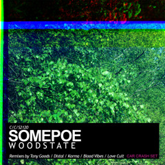 Somepoe - Woodstate (Distal Remix)