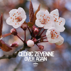 Cedric Zeyenne - Over Again (Radio Edit)