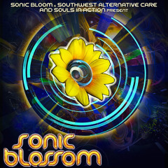 Sonic Blossom Promo Mix