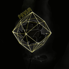 Prysm - Not Now