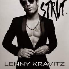 Lenny Kravitz - The Chamber (Wankelmut Remix)