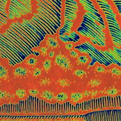 The End Of Phase Two - C.T.U