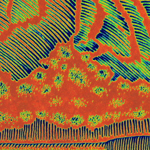 The End Of Phase Two - C.T.U