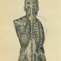 Bean Dip (full audio)