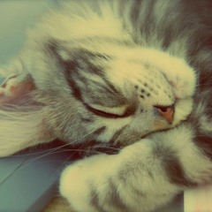 我的最愛-明知故犯