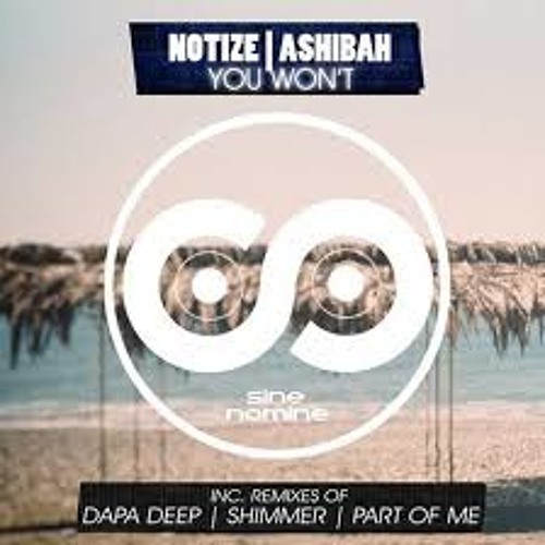 Notize feat. Ashibah - You Won't (Dapa Deep Remix)