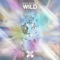 Alex B-Cube - Wild (Original Mix)