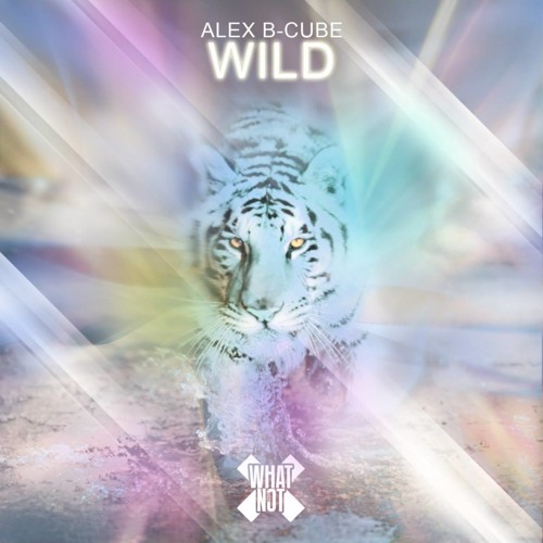 Alex B-Cube - Wild (Original Mix)