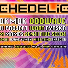 Shred'er Live @ Psychédelice II - (wav quality)