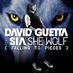 DJ KASSEM-David Guetta Ft. Sia-She wolf REMIX