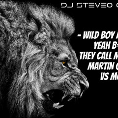 Wild Boy Animals (Yeah B*Tch They Call Me Steveo) - Martin Garrix Vs MGK (DJ STEVEO MASHUP)