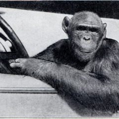 Rumble in my Car