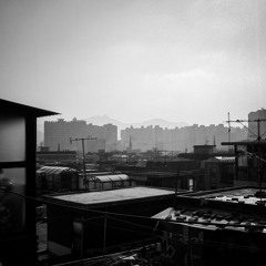 Rising Wind