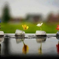 تقديم كتاب استرداد عمر من السيرة إلى المسيرة