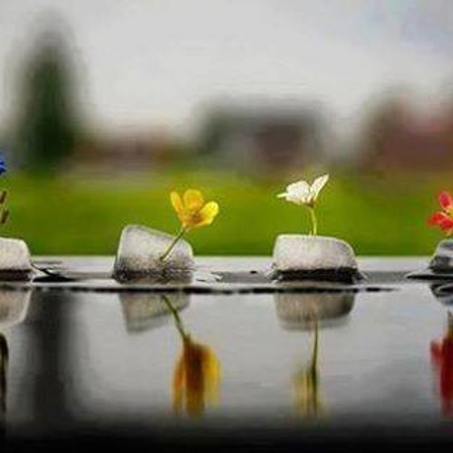 تقديم كتاب استرداد عمر من السيرة إلى المسيرة