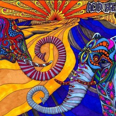 Acid Elephants - AIDS of Space