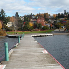 Do You Believe (The Lonely One