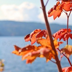 Autumn Phases (North Idaho Mix 1)