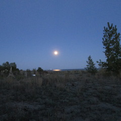 Midnight Mirage...