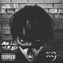 K9 - 08 Untouchable