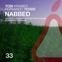 Tobi Kramer & Fernando Tessis - Nabbed (Wolfgang Lohr Remix)