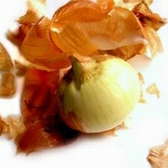 洋蔥
