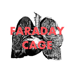 ESCAPISTS - Faraday Cage