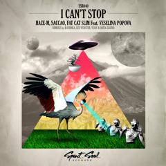 Saccao, Haze-M, Fat Cat Slim feat. Veselina Popova - I Can't Stop (Lee Webster Froglife Remix)
