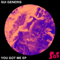 Sui Generis - You Got Me (DJ Q Remix)