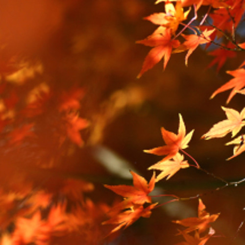 Autumn - original mix