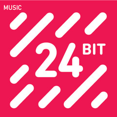 24bit Soundskin App