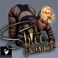 Spice - So Mi Like It Hip Hop Remix By DjMani-Fresh