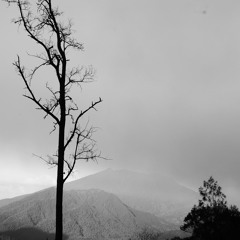 When you say nothing at all