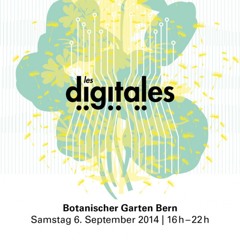 2150 Chris Dubflow Les Digitales Bern Sept14