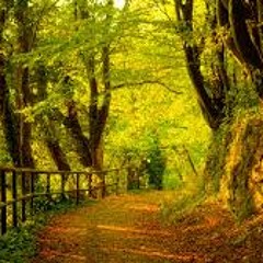 Im Into You (Acoustic Original)