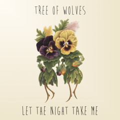 Let The Night Take Me