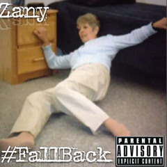 FALL BACK - ZANY