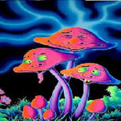 Magic Mushrooms