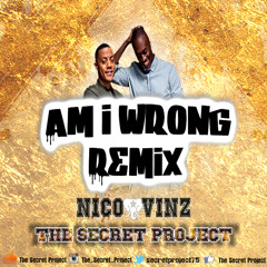 Am I Wrong Remix - The Secret Project 2014