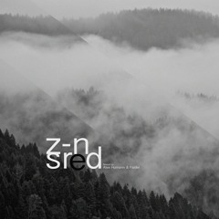 Alex Humann & Faidel: Z-nsred Podcast