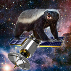 Badger Satellite