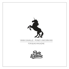 Yann Cavaille - Poney Unicorn Mix