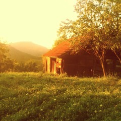 BalkAfrican Horo - composition