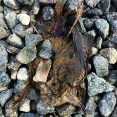 Kissing With Broken Mouths - A Quietus Mix