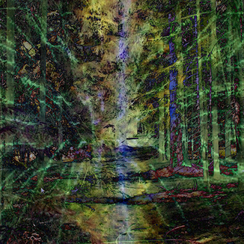 timworxx & Pp Kaubi - Forest Spirits Meeting