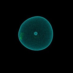 Experiments In Dark Loops - Beat Driven Insomnia https://youtu.be/PWLq2v7Mfcw