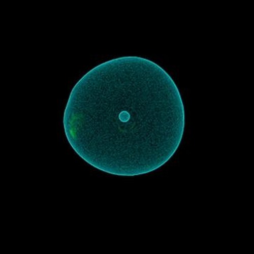 Experiments In Dark Loops - Beat Driven Insomnia https://youtu.be/PWLq2v7Mfcw