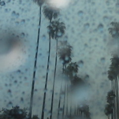 Flowers In May(Zaptra Remix)