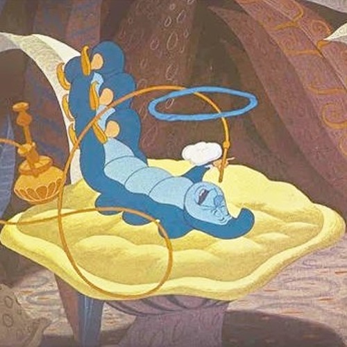 ワンダーランドへようこそ